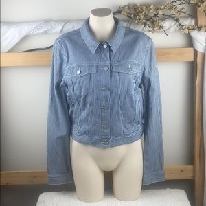 Talula Aritzia Blue Striped Denim Jacket